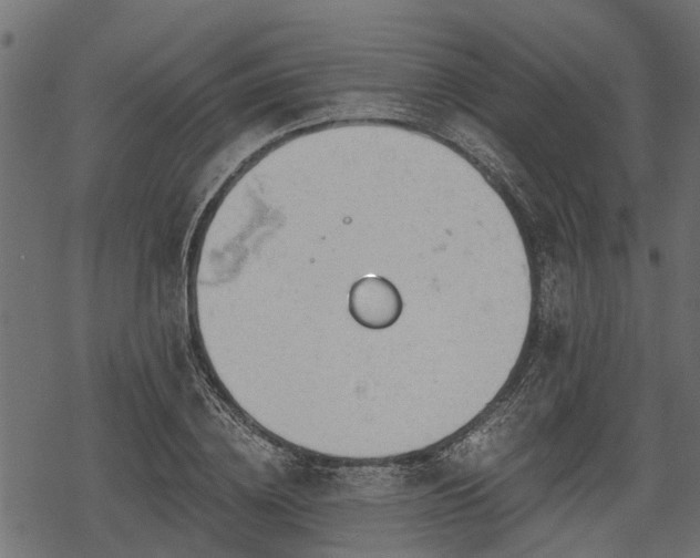 X0000068810836200605121248