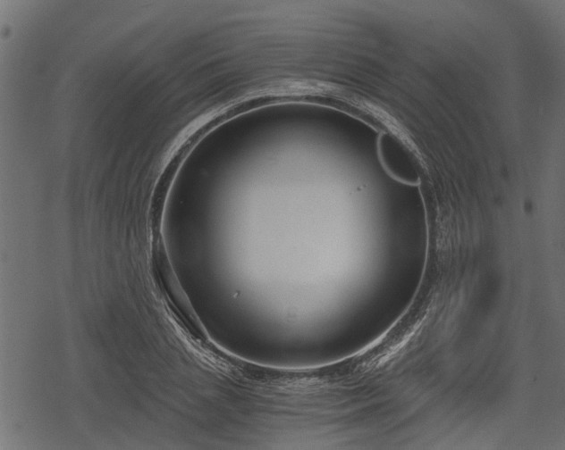 X0000068810837200605121248