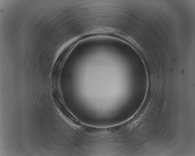 X0000068810838200605121248