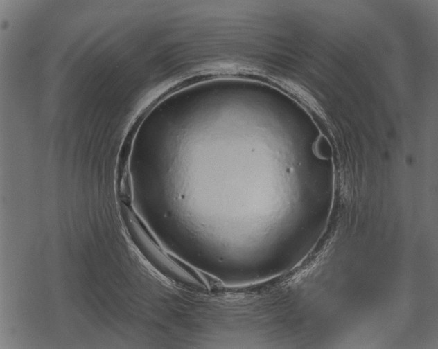 X0000068810839200605121248