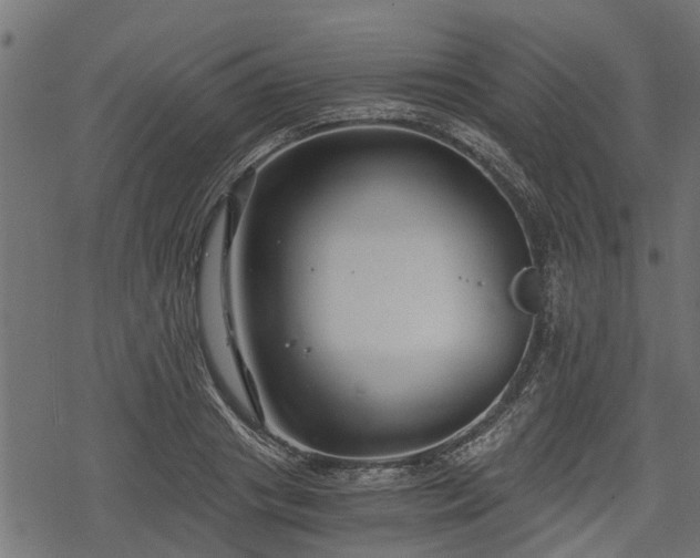 X0000068810841200605121248