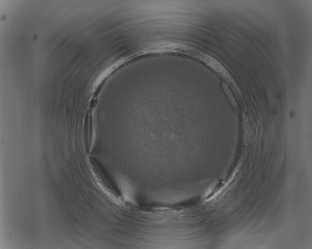 X0000068810842200605121248