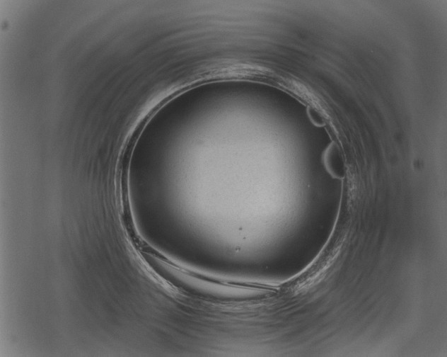 X0000068810843200605121248