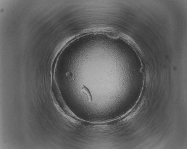 X0000068810844200605121248