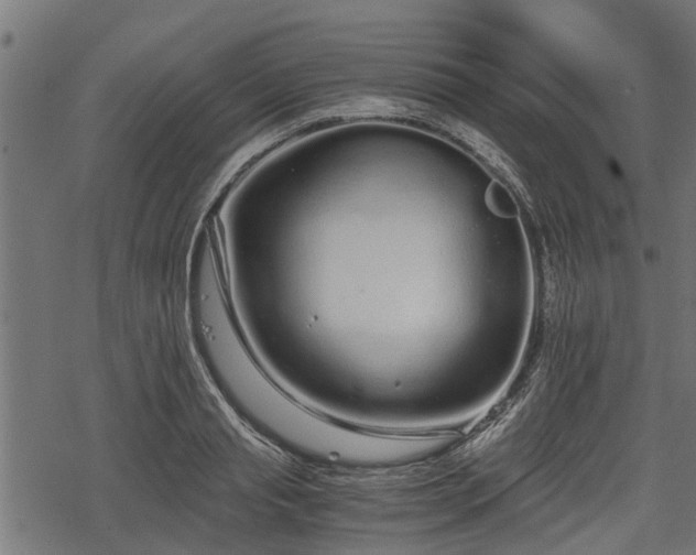 X0000068810845200605121248