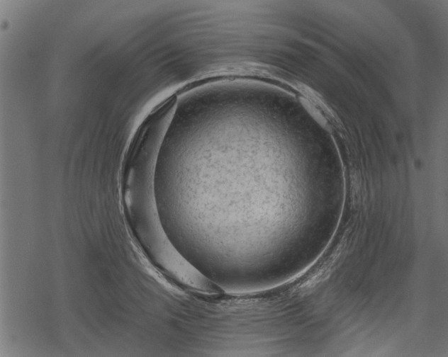 X0000068810846200605121248