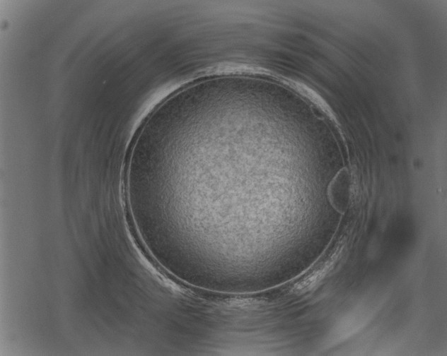 X0000068810847200605121248