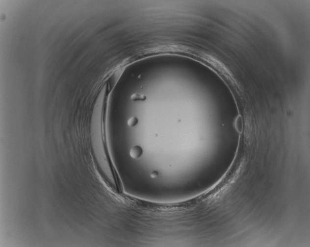 X0000068810849200605121248