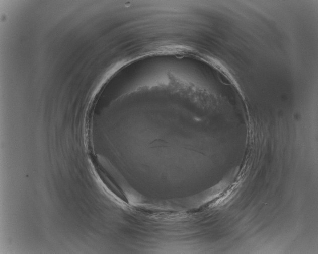 X0000068810851200605121248