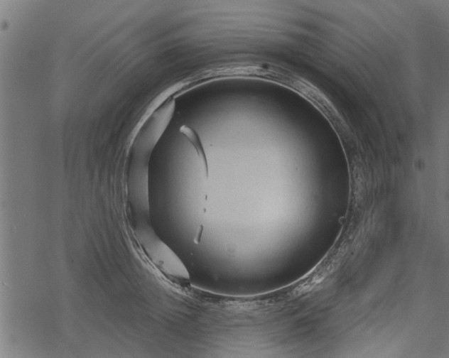 X0000068810852200605121248