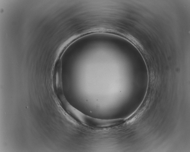 X0000068810854200605121248