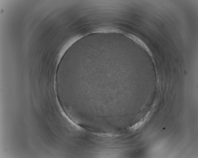 X0000068810855200605121248