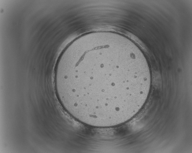 X0000068810856200605121248