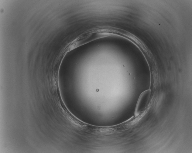 X0000068810857200605121249