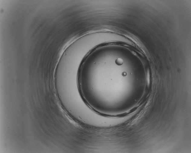 X0000068810858200605121249