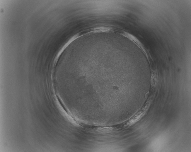 X0000068810859200605121249