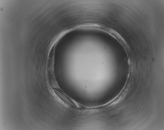 X0000068810860200605121249