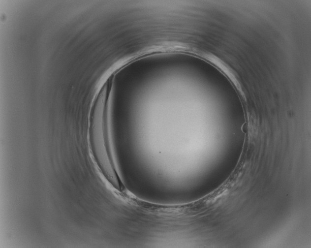 X0000068810861200605121249