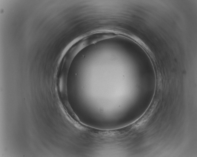 X0000068810862200605121249