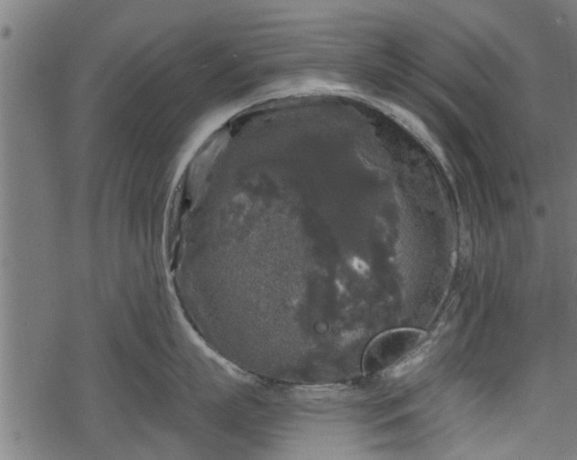 X0000068810863200605121249