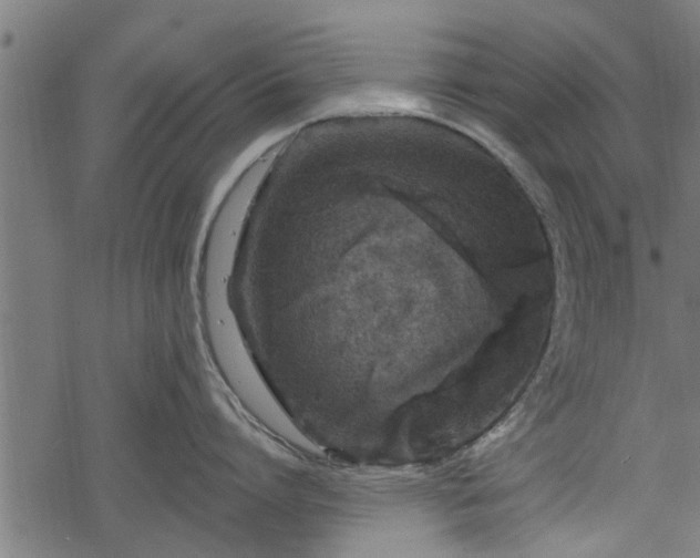 X0000068810864200605121249