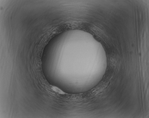 X0000068810865200605121248