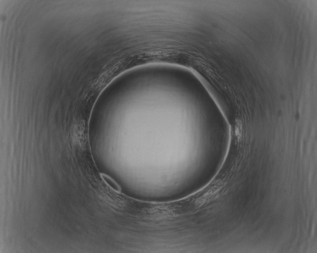 X0000068810867200605121248