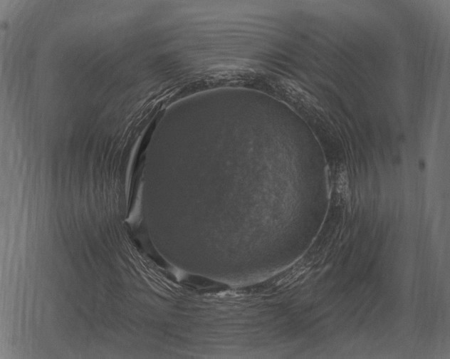 X0000068810868200605121248