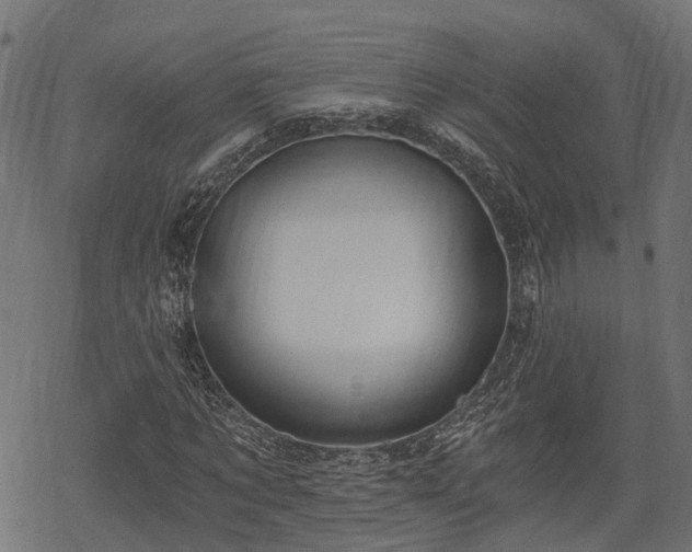 X0000068810869200605121248