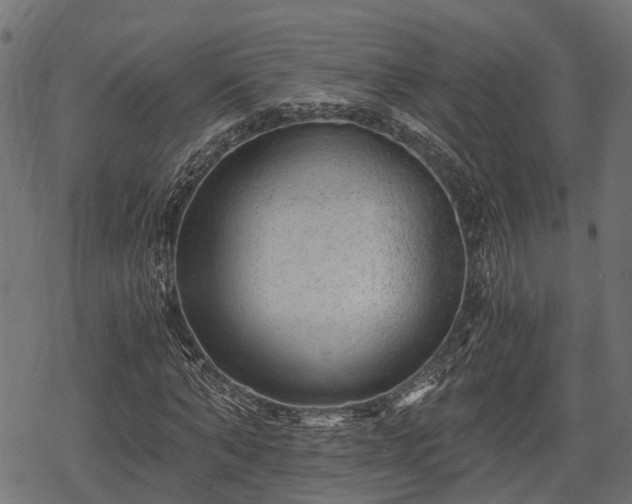 X0000068810870200605121248