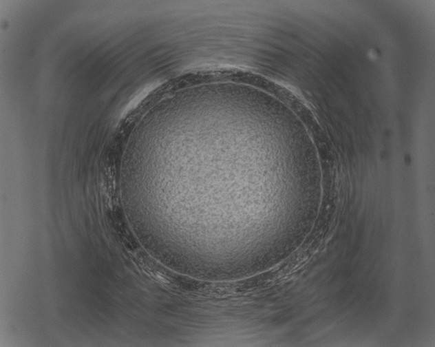 X0000068810871200605121248