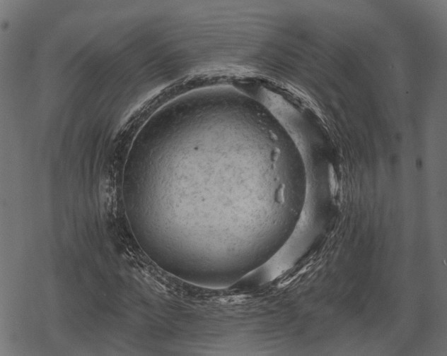 X0000068810872200605121248