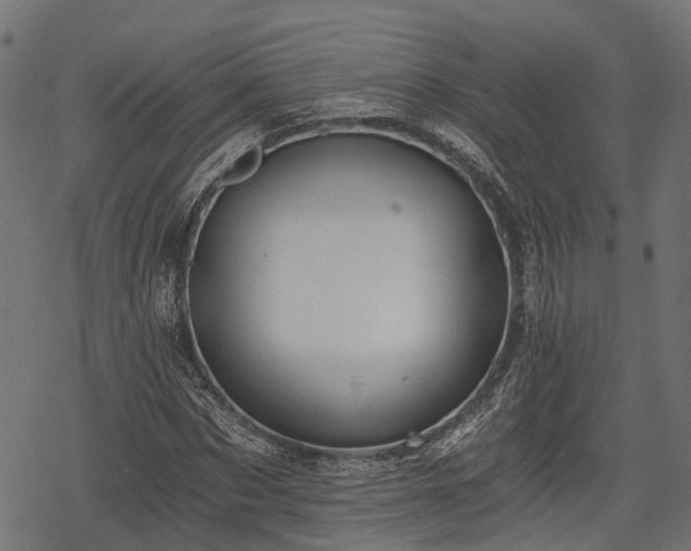 X0000068810873200605121248