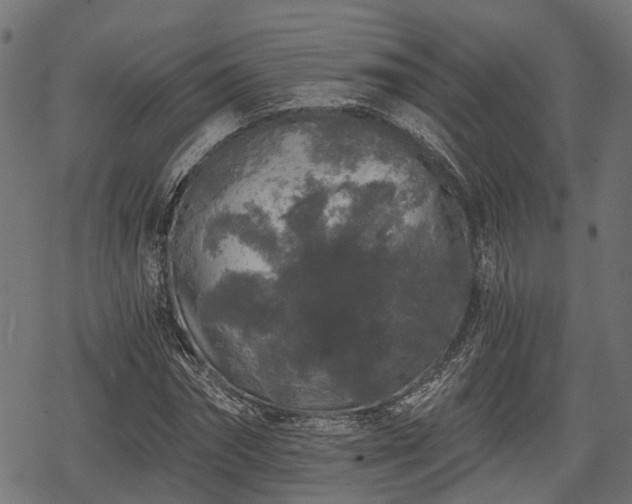 X0000068810874200605121248