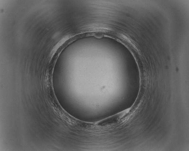 X0000068810875200605121248