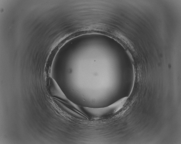 X0000068810876200605121248