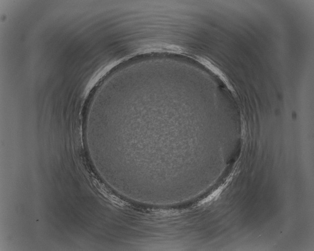 X0000068810877200605121248