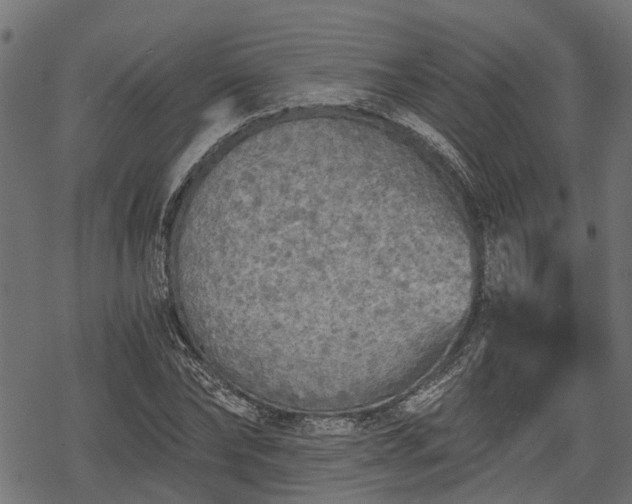 X0000068810878200605121248