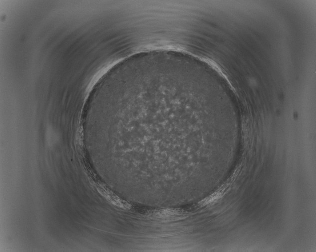 X0000068810879200605121248