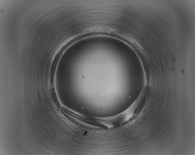 X0000068810880200605121248