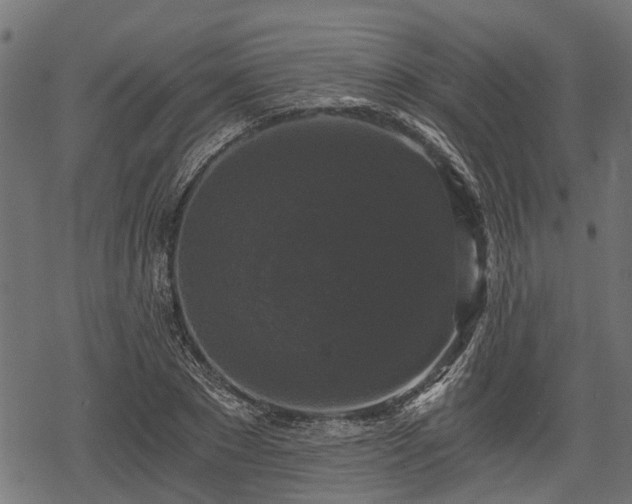 X0000068810881200605121248