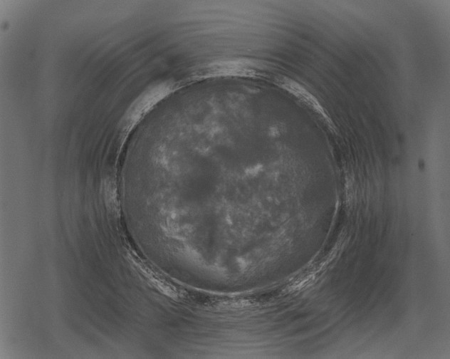 X0000068810882200605121248