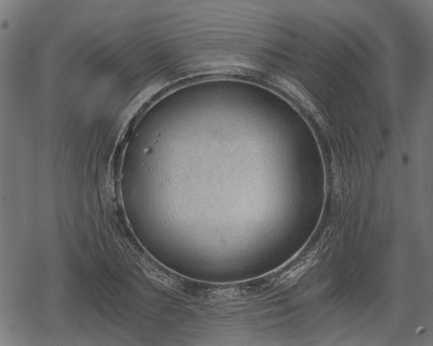 X0000068810883200605121248