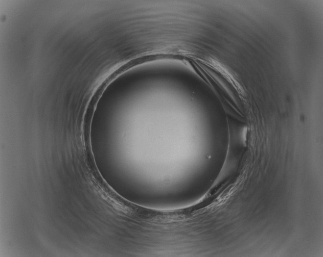 X0000068810884200605121248