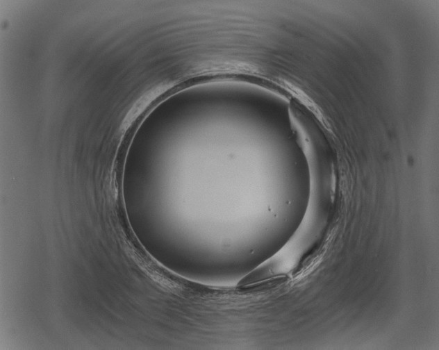 X0000068810885200605121248