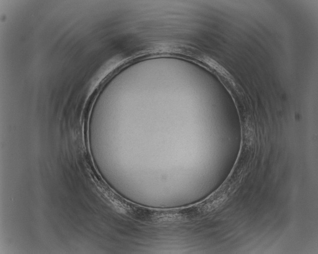 X0000068810886200605121248