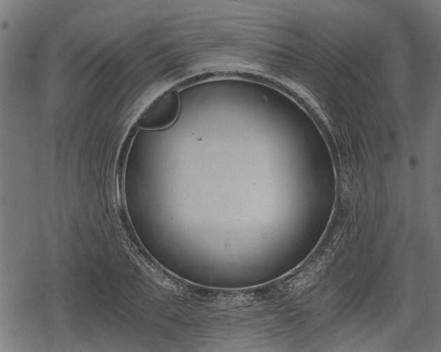 X0000068810887200605121247