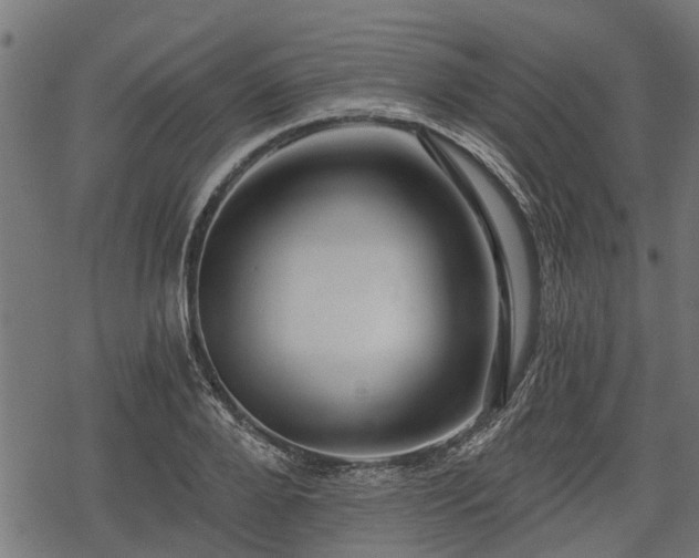 X0000068810888200605121247