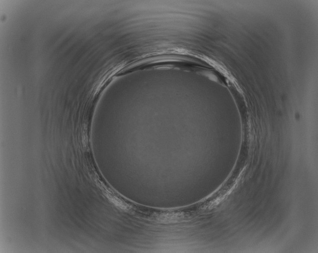 X0000068810889200605121247