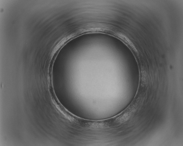 X0000068810890200605121247